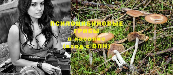 мескалин Вяземский
