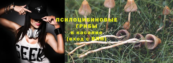 прущая мука Снежногорск