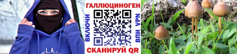 Псилоцибиновые грибы Psilocybine cubensis  МЕГА tor  Североморск  цены наркотик 